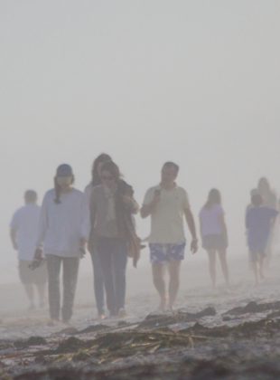 Zombie Surfers, Cocoa Beach, FL