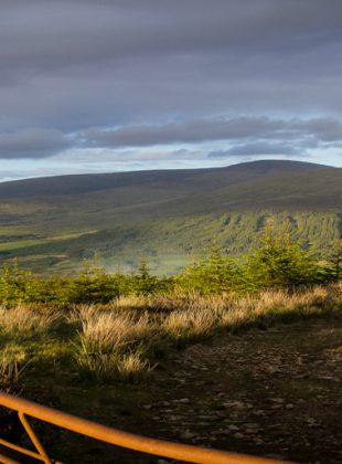 The Land of Wicklow, co. Wicklow, IR, June 2015.